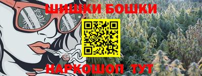 стафф Долгопрудный