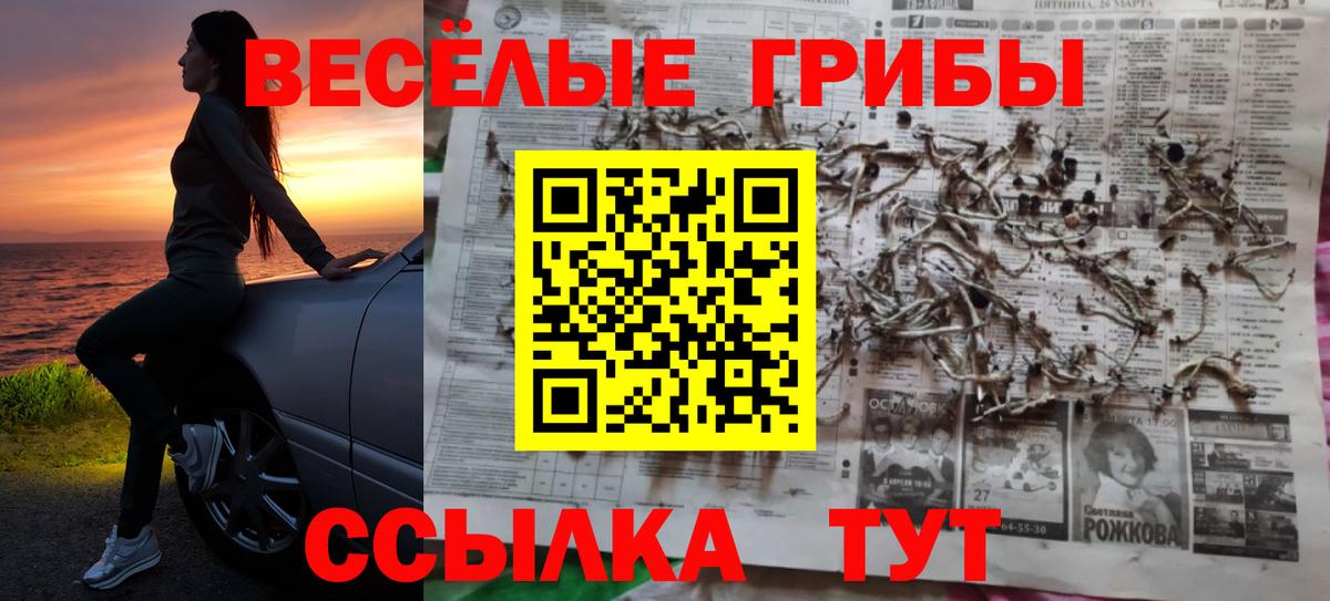 Галлюциногенные грибы прущие грибы Каспийск